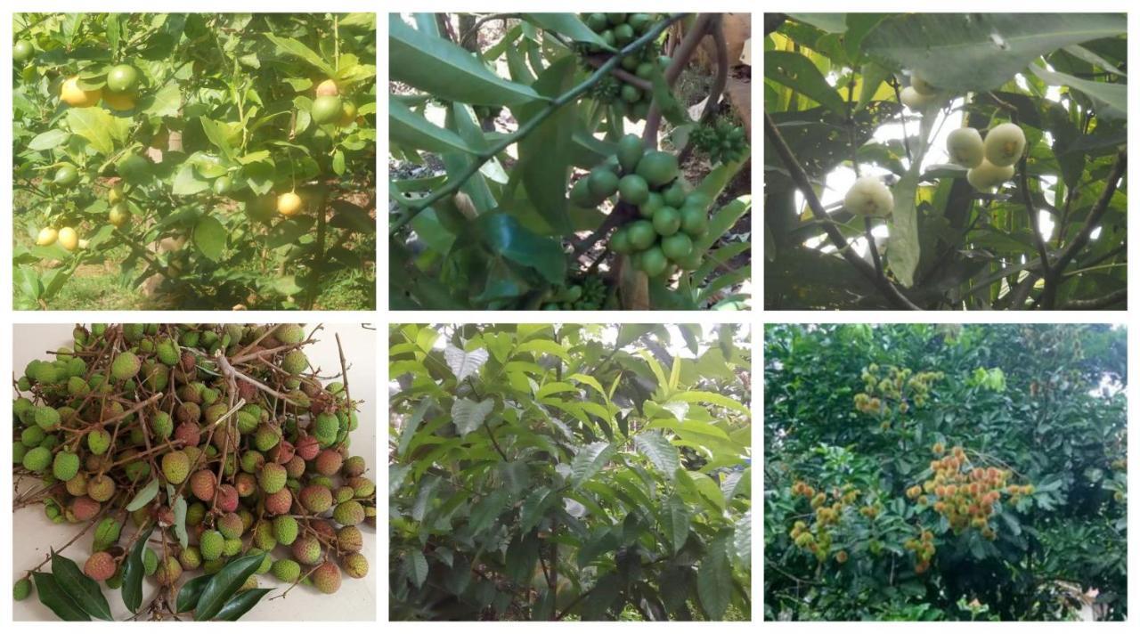 Anand Homestay Kattappana Ngoại thất bức ảnh